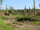 2022-05-20 - Tornado beim Sturmtief Emmelinde Solling - Steinlade bis Gehren (39)